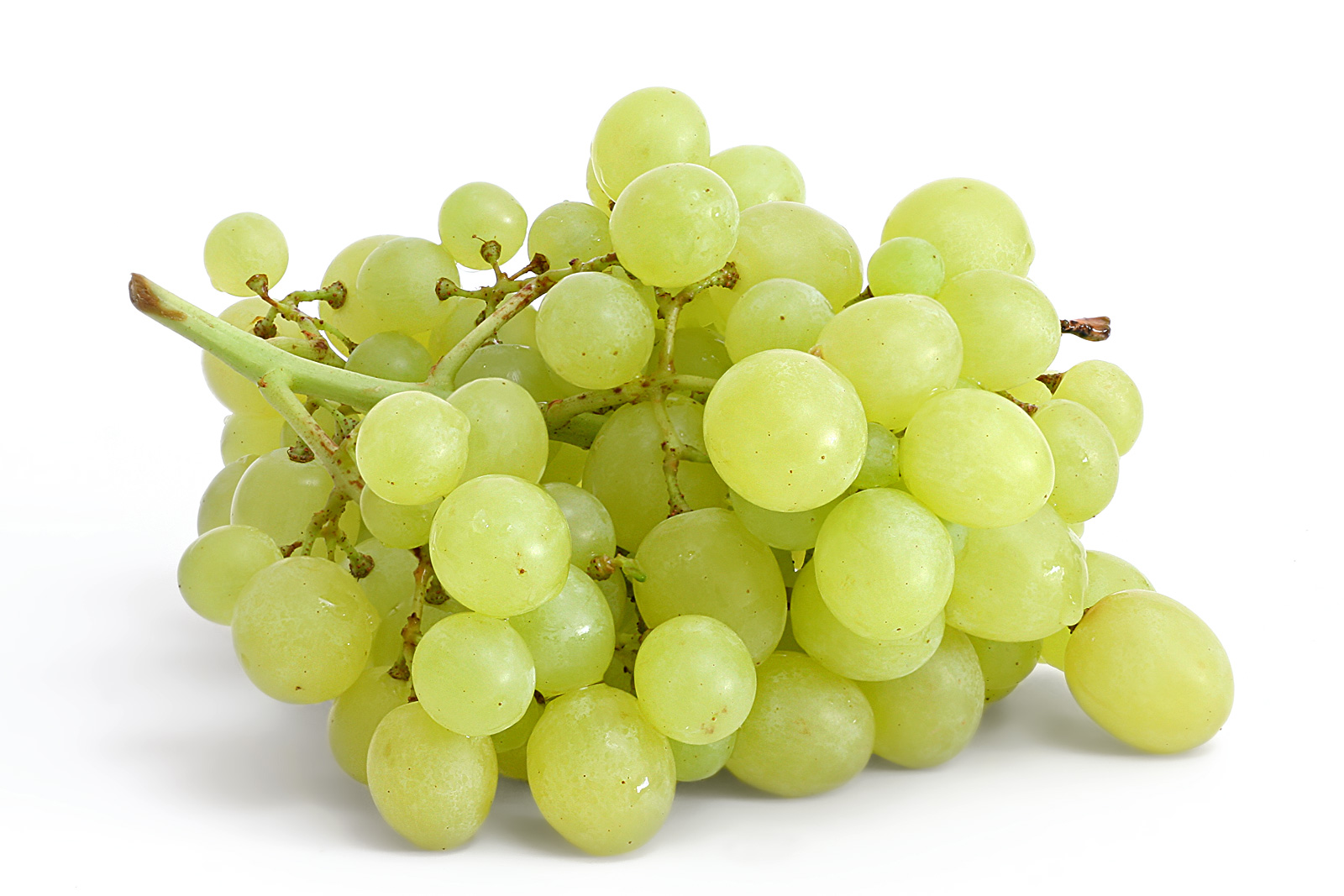 Fresh green table grapes